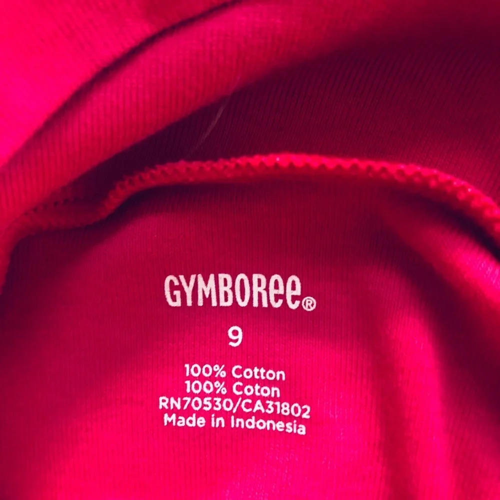 Vintage Gymboree pink turtle neck! Size 9